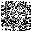 QR code with Professional Styles contacts