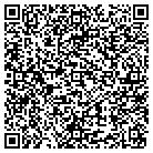 QR code with Punchman Construction Inc contacts