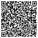 QR code with Orlando contacts