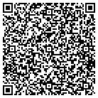 QR code with Blue Ridge Art Council contacts