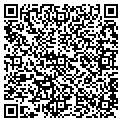 QR code with TCBY contacts