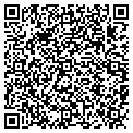 QR code with Cigargae contacts