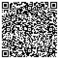 QR code with Patel contacts