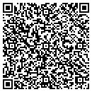 QR code with Cedarridge Abstracts contacts