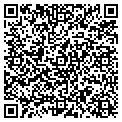 QR code with Bistro contacts