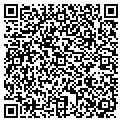 QR code with Lewis Co contacts