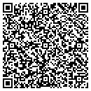 QR code with Chips Aliceville Inc contacts