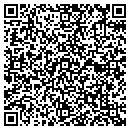 QR code with Progressive Cellular contacts