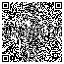 QR code with Practical Systems LLC contacts