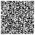 QR code with Pugliese Construction LLC contacts
