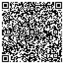 QR code with Big Lots contacts