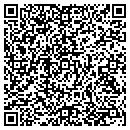 QR code with Carpet Carnival contacts