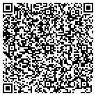 QR code with Public Safety Department contacts