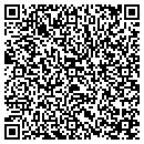 QR code with Cygnet Group contacts
