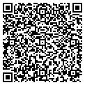 QR code with Palms contacts