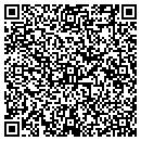 QR code with Precision Display contacts