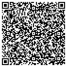 QR code with Blue Water Marine contacts