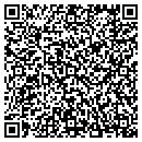 QR code with Chapin Self Storage contacts