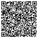 QR code with Digitz contacts