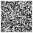 QR code with Briar Patch contacts