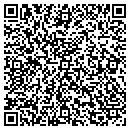 QR code with Chapin Package Store contacts