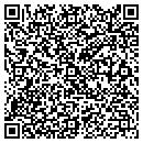 QR code with Pro Tint Audio contacts