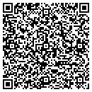QR code with Professional Vending contacts