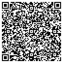 QR code with Pub N Grub Unknown contacts