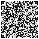 QR code with Ballpark Of Anderson contacts
