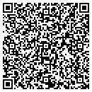 QR code with Public Works contacts