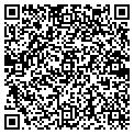 QR code with Shell contacts