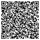 QR code with Pure Airsystems contacts