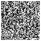 QR code with Public Safety Department contacts
