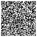 QR code with Professional Vending contacts