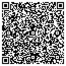 QR code with Prairie Pioneer contacts
