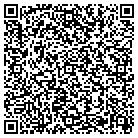QR code with Baldwin Seamless Gutter contacts