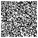 QR code with Dsi Automotive Products contacts