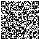 QR code with Pulse & Pulse contacts