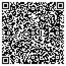 QR code with Babinski Properties contacts
