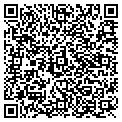 QR code with Curves contacts