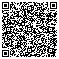 QR code with Detroit contacts