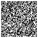 QR code with Premise Systems contacts