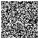QR code with Babinski Properties contacts