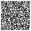 QR code with Codys contacts