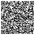 QR code with Amwest contacts