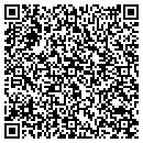 QR code with Carpet Store contacts