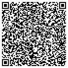 QR code with Pulizzi Engineering Inc contacts