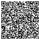 QR code with Public Broadcasting contacts