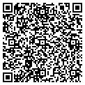 QR code with Gally contacts