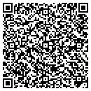QR code with Professional Alliance contacts